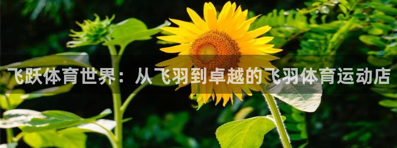 意昂3体育注册