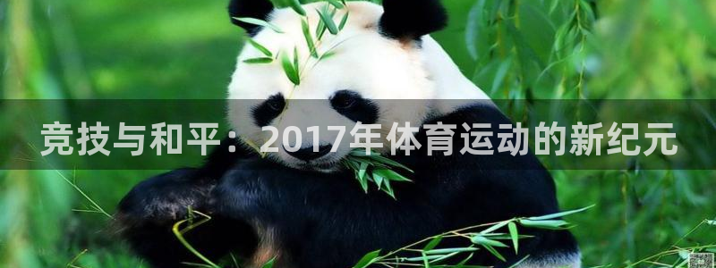 意昂3体育平台总代理