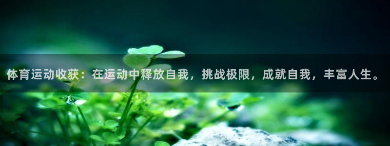 意昂33代理
