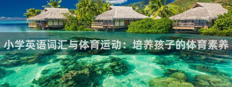 意昂3官网入口