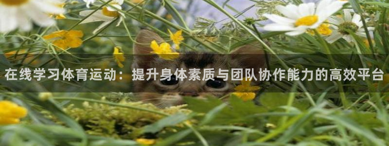 佛山市南海意昂3机电仪器有限公司
