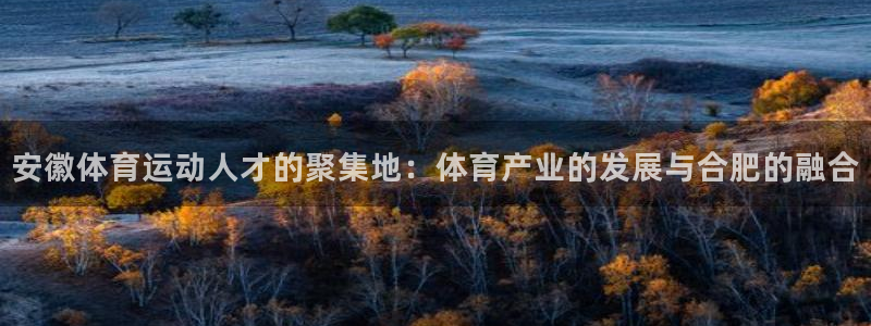 意昂3体育网页版入口