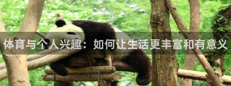 意昂3能源