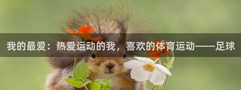 意昂3体育2