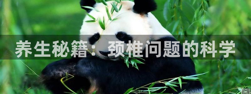 意昂3体育2