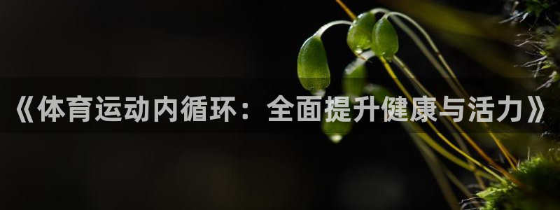 意昂3体育热门赛事有哪些
