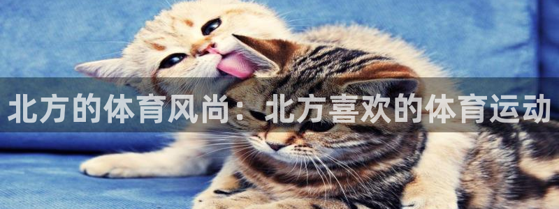 意昂3体育app下载