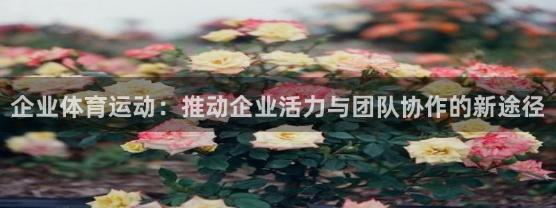 上海意昂3汽车电子有限公司