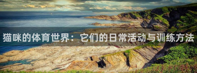 意昂3电子有限公司