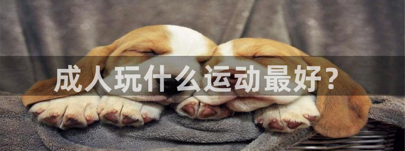 意昂3平台总代理